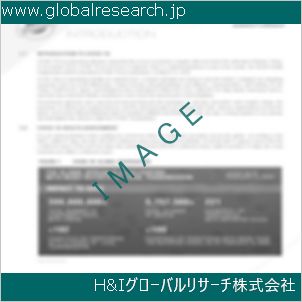 グローバルリサーチ調査資料のイメージ